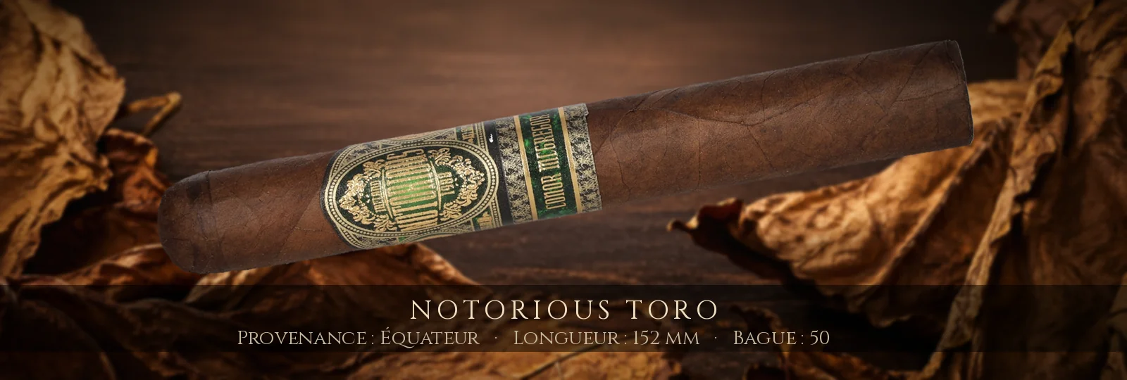 Notorious Toro — Notorious — Équateur