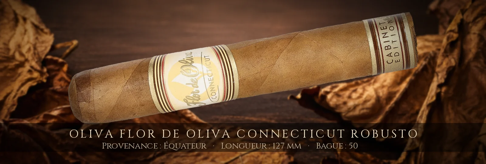 Oliva Flor de Oliva Connecticut Robusto — Oliva — Équateur