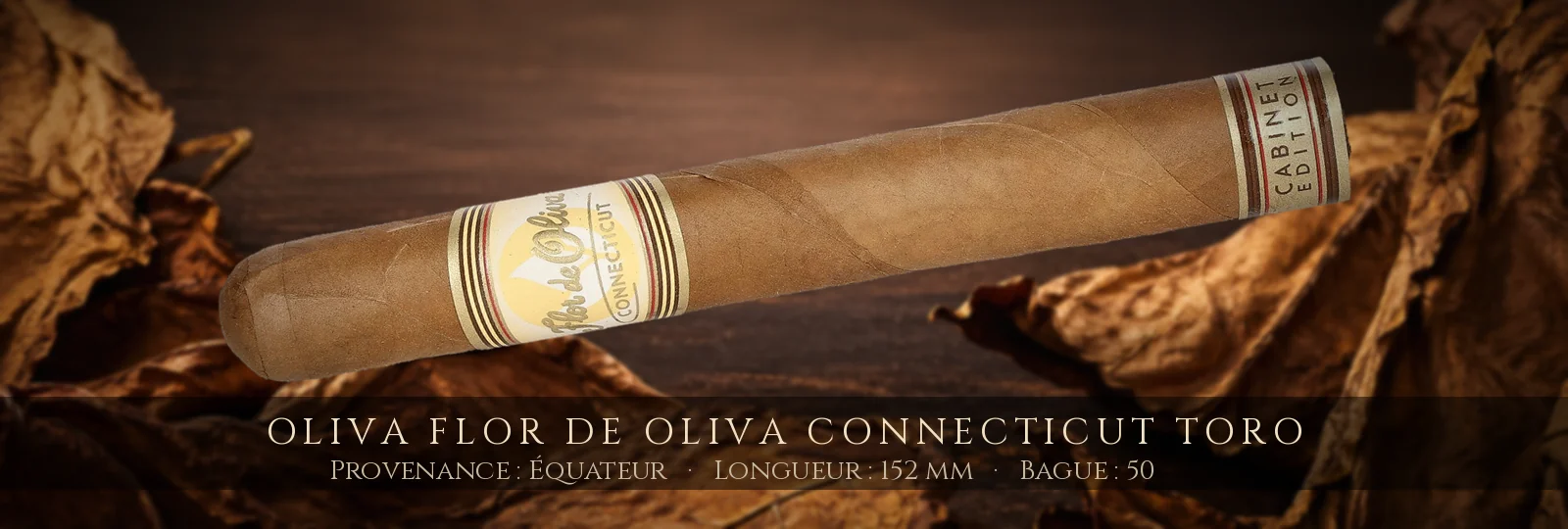 Oliva Flor de Oliva Connecticut Toro — Oliva — Équateur