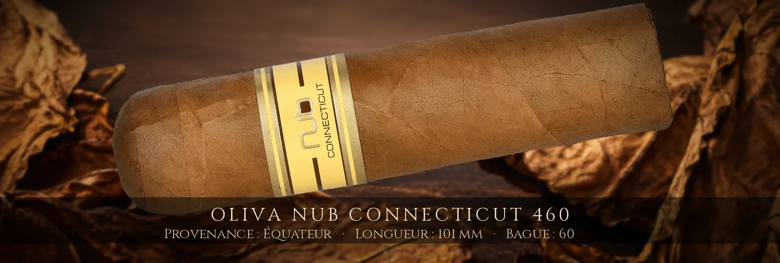 Oliva NUB Connecticut 460 — Oliva — Équateur