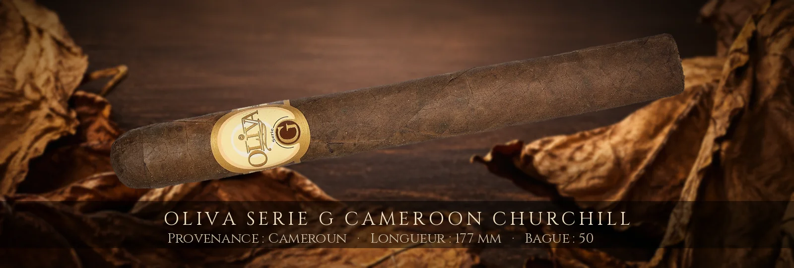 Oliva Serie G Cameroon Churchill — Oliva — Cameroun