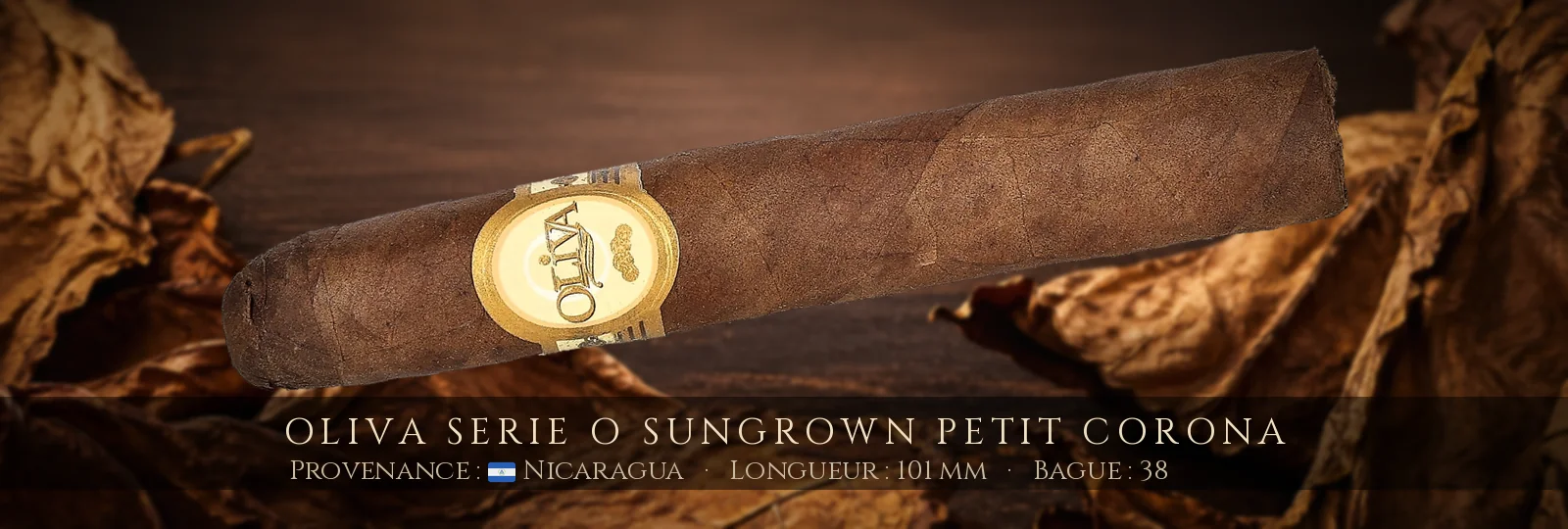 Oliva Serie O Sungrown Petit Corona — Oliva — Nicaragua
