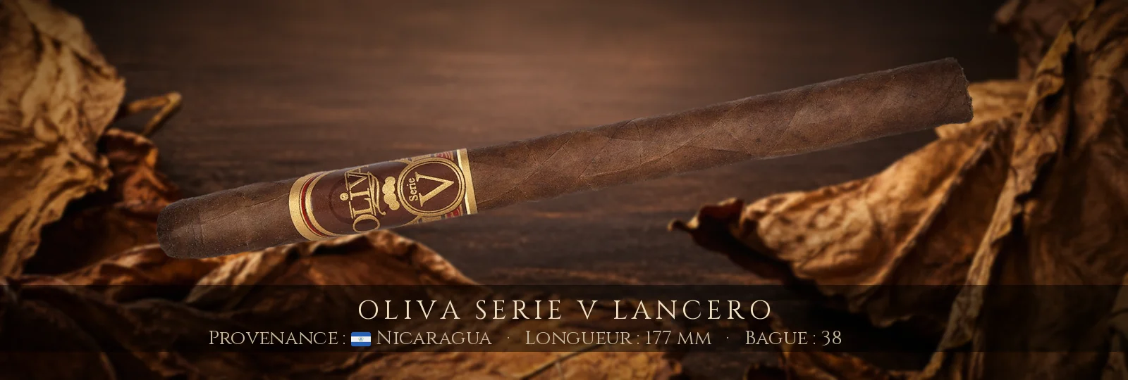 Oliva Serie V Lancero