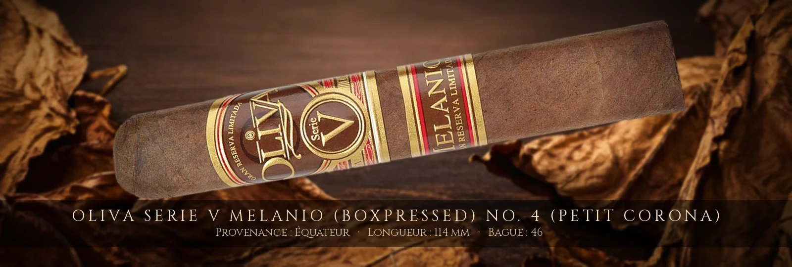 Oliva Serie V Melanio (Boxpressed) No. 4 (Petit Corona) — Oliva — Équateur