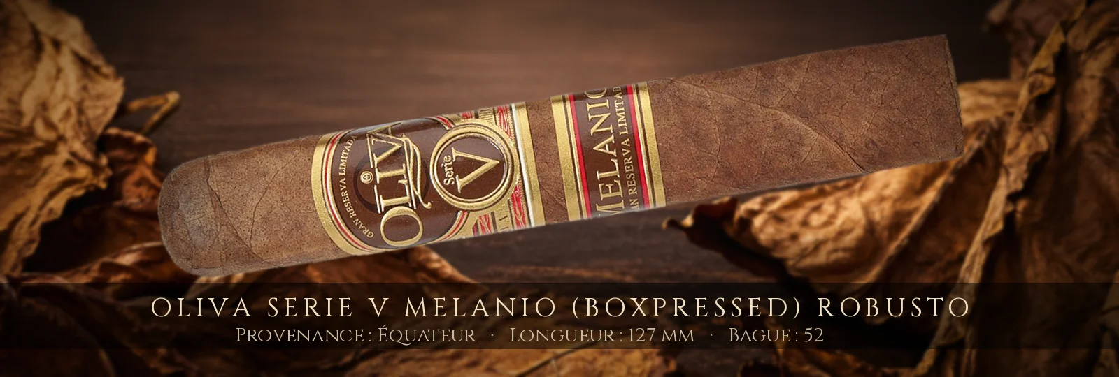 Oliva Serie V Melanio (Boxpressed) Robusto — Oliva — Équateur