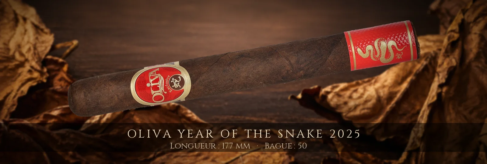 Oliva Year of the Snake 2025 — Oliva