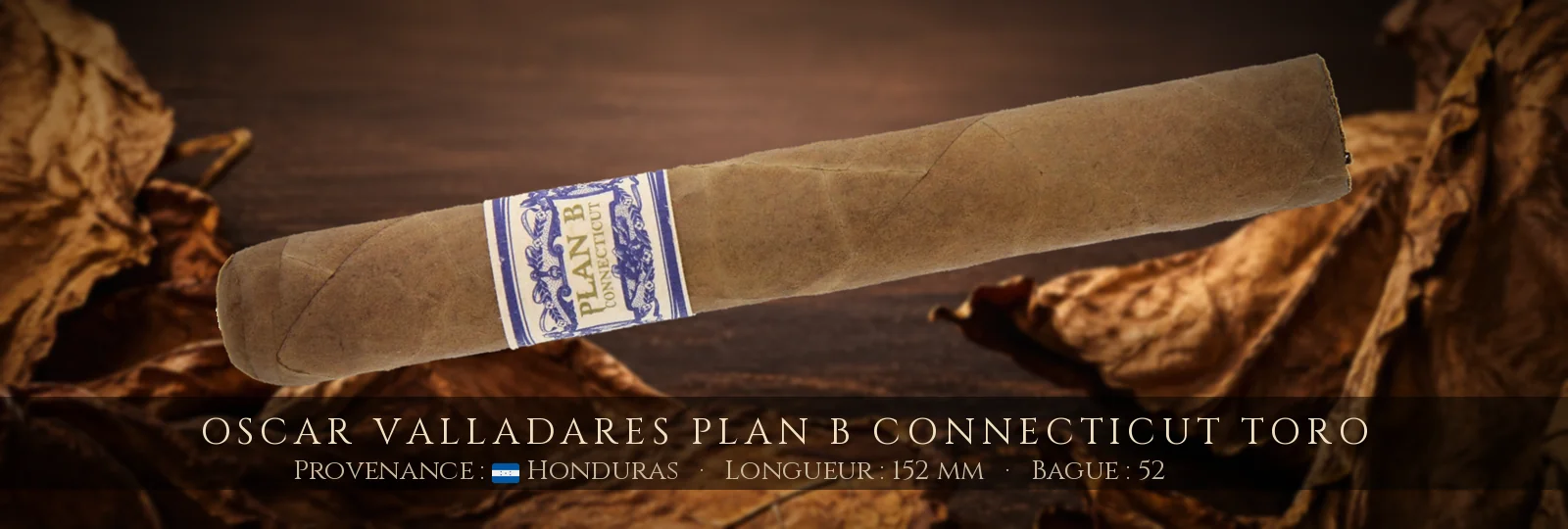 Oscar Valladares Plan B Connecticut Toro — Oscar Valladares — Honduras