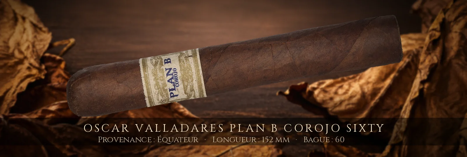 Oscar Valladares Plan B Corojo Sixty — Oscar Valladares — Équateur