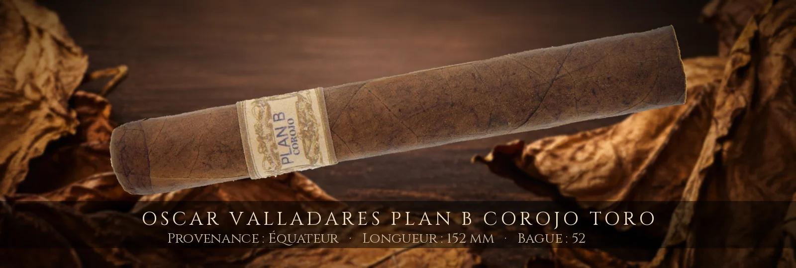 Oscar Valladares Plan B Corojo Toro — Oscar Valladares — Équateur