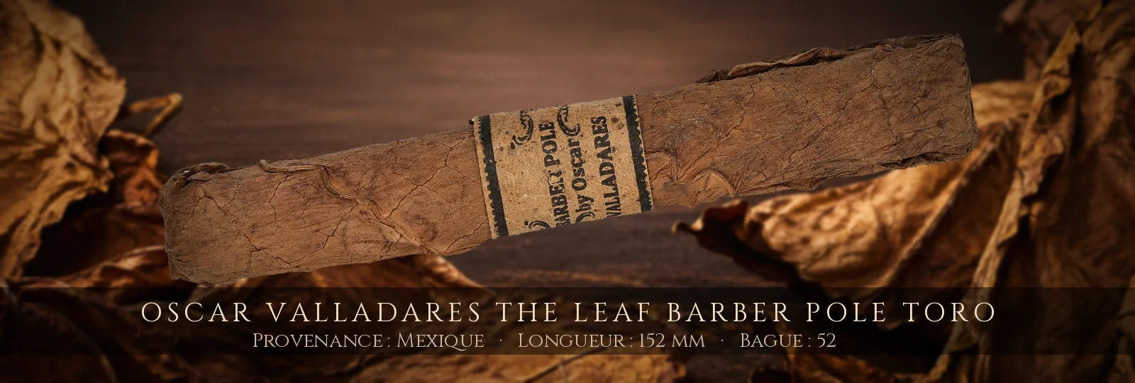 Oscar Valladares The Leaf Barber Pole Toro — Oscar Valladares — Mexique