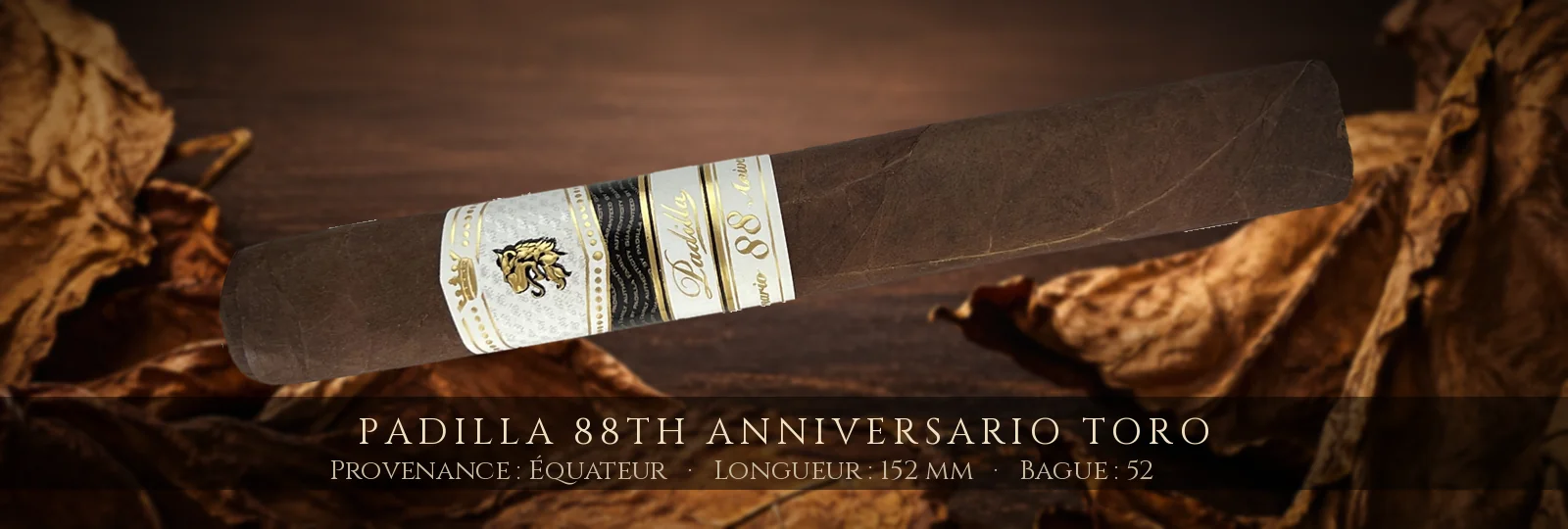 Padilla 88th Anniversario Toro