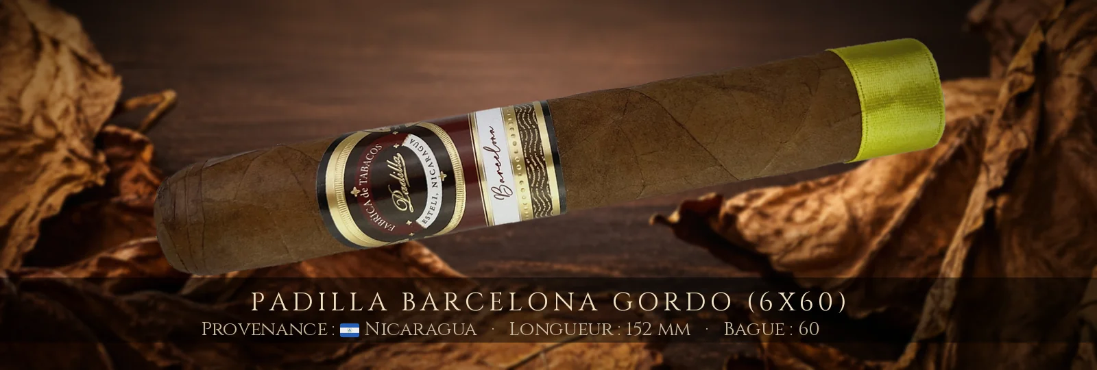 Padilla Barcelona Gordo (6x60) — Padilla — Nicaragua
