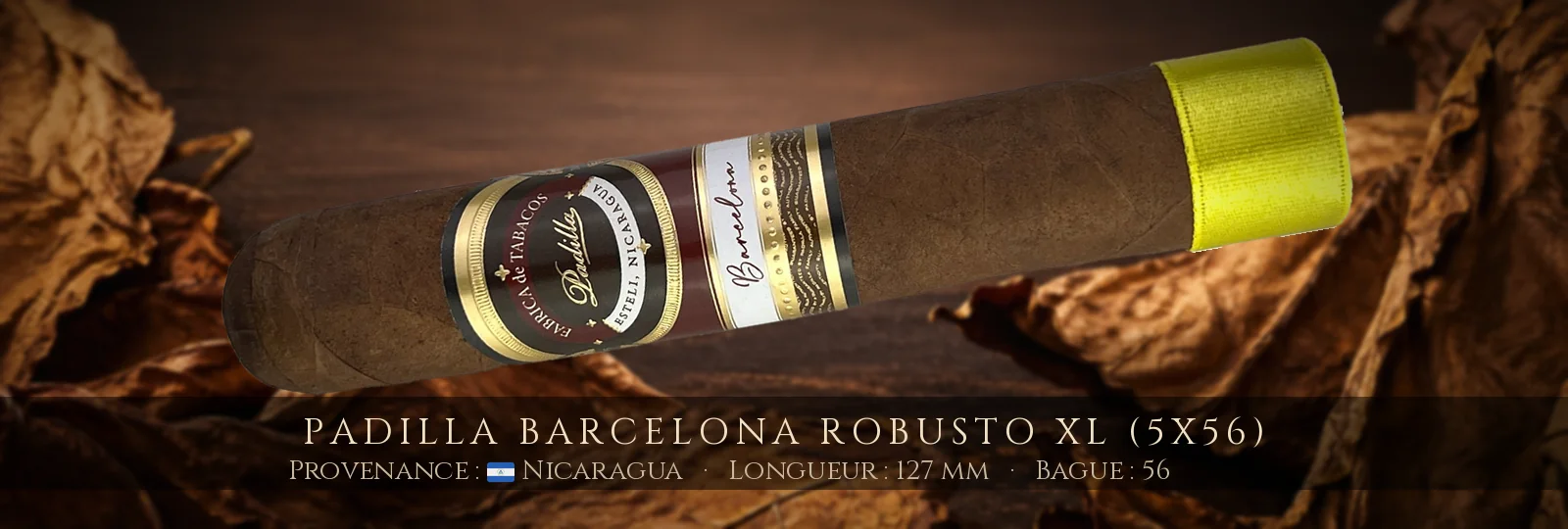 Padilla Barcelona Robusto XL (5x56) — Padilla — Nicaragua