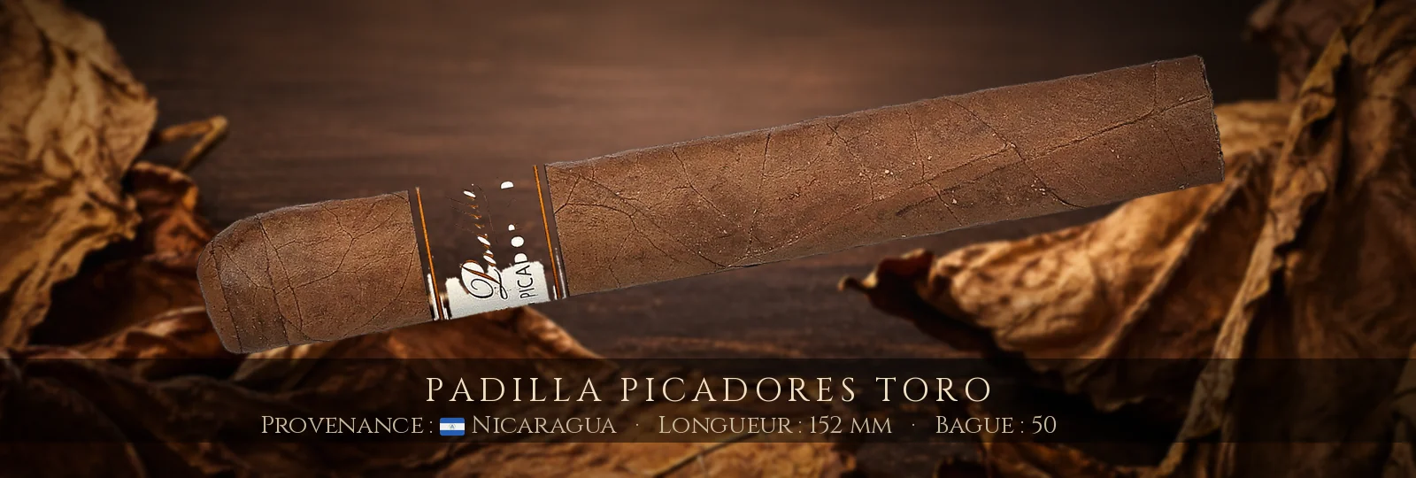 Padilla Picadores Toro — Padilla — Nicaragua
