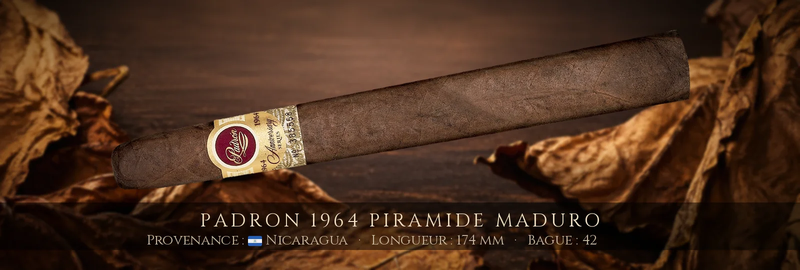 Padron 1964 Piramide MADURO — Padron — Nicaragua