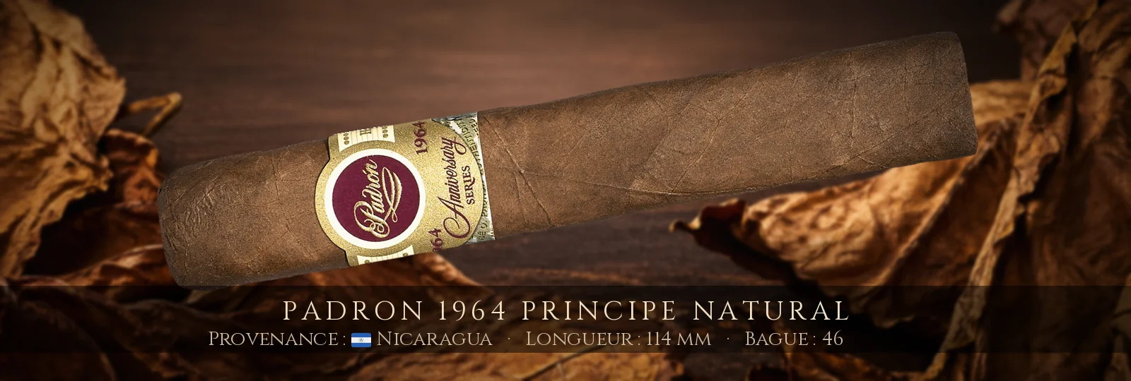 Padron 1964 Principe NATURAL — Padron — Nicaragua