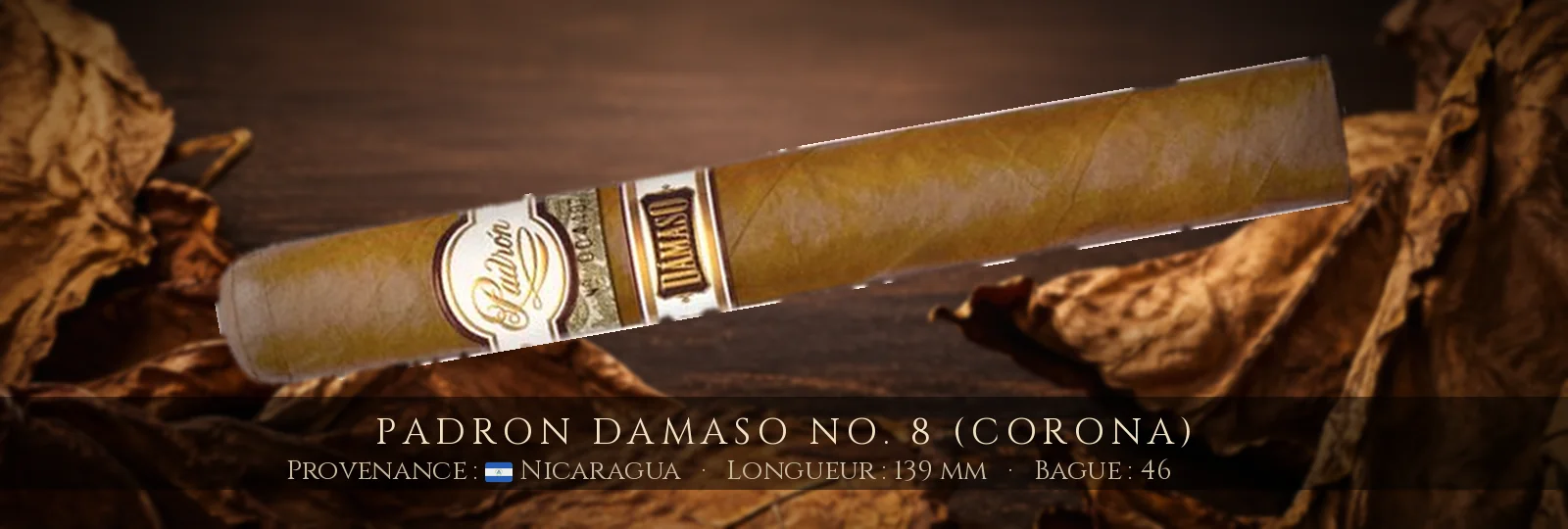 Padron Damaso No. 8 (Corona) — Padron — Nicaragua