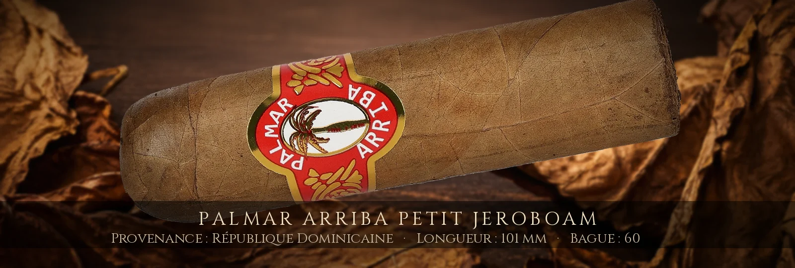 Palmar Arriba Petit Jeroboam — Palmar Arriba — République Dominicaine
