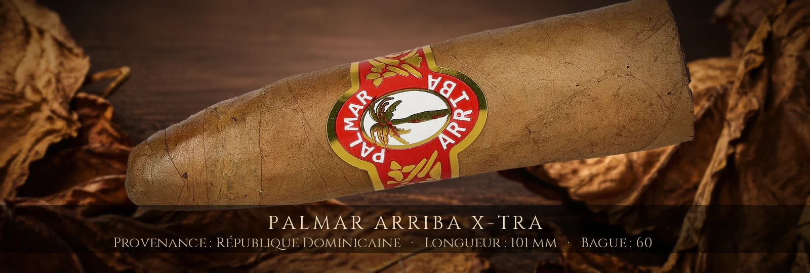 Palmar Arriba X-tra — Palmar Arriba — République Dominicaine