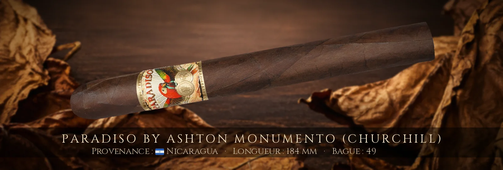 Paradiso By Ashton Monumento (Churchill) — Paradiso — Nicaragua
