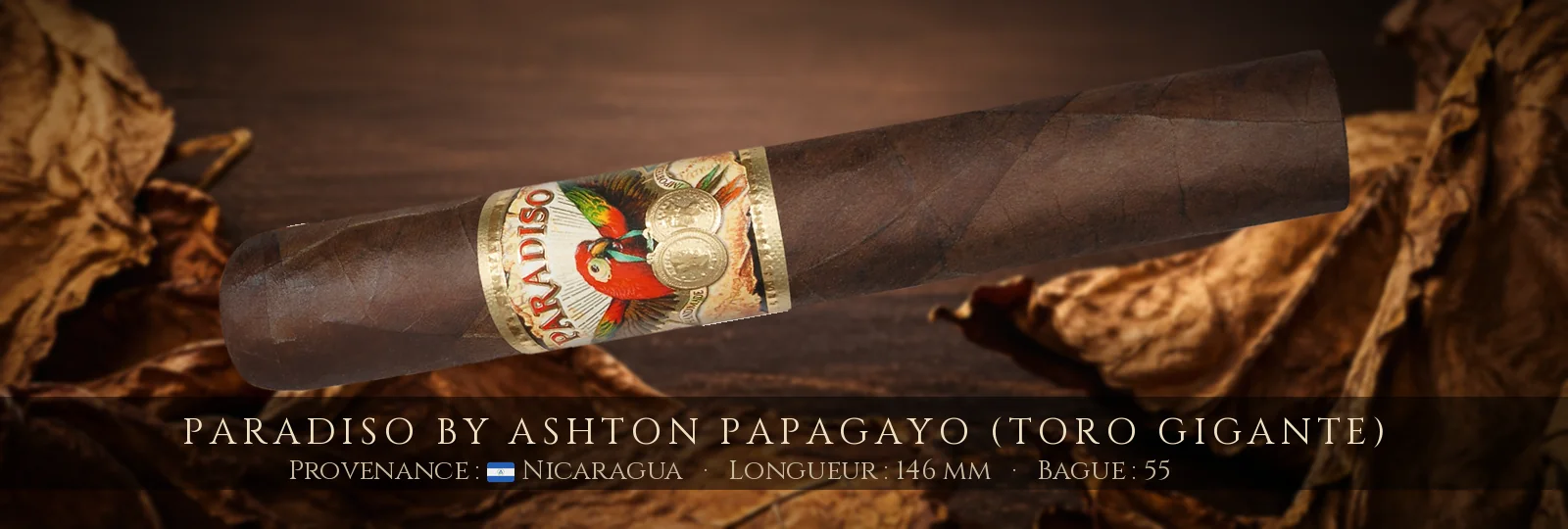 Paradiso By Ashton Papagayo (Toro Gigante) — Paradiso — Nicaragua