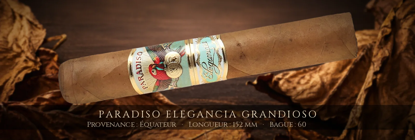 Paradiso Elegancia Grandioso — Paradiso — Équateur