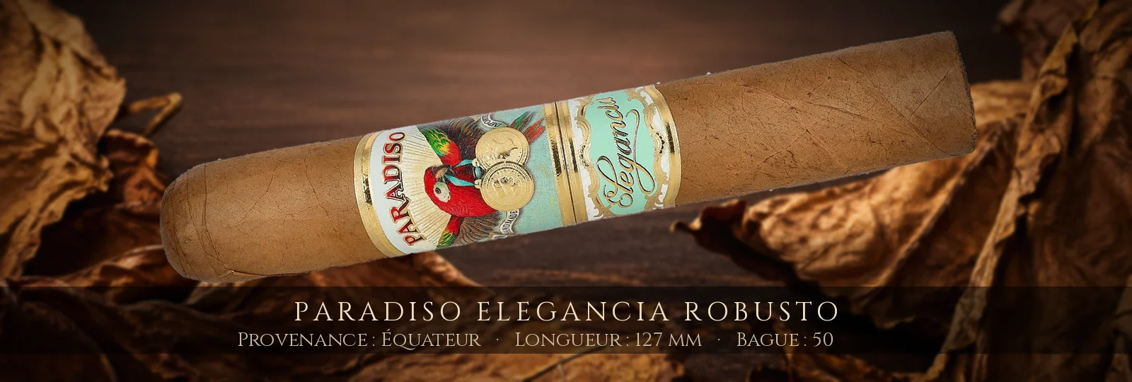 Paradiso Elegancia Robusto — Paradiso — Équateur