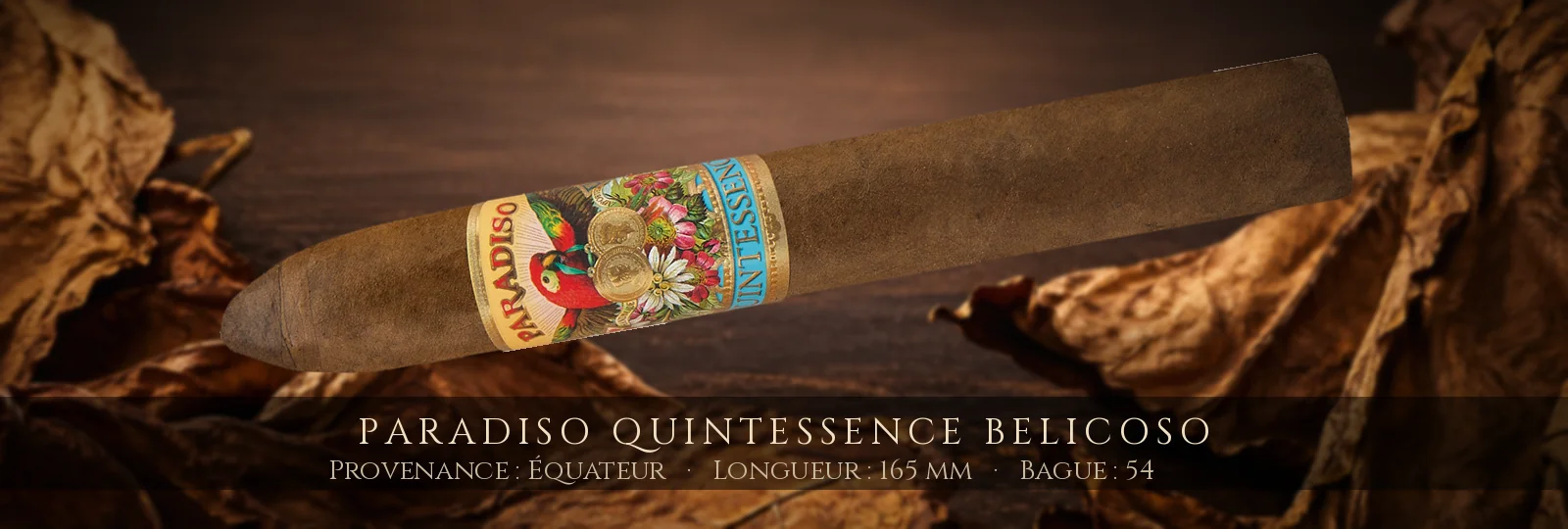 Paradiso Quintessence Belicoso