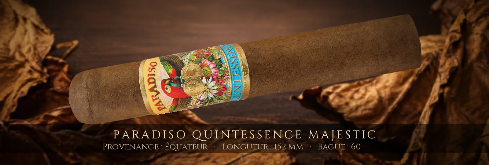 Paradiso Quintessence Majestic — Paradiso — Équateur