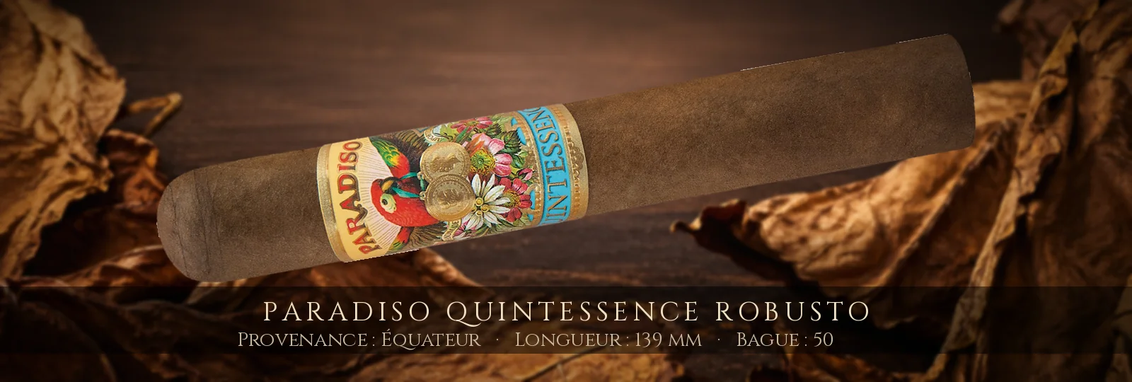 Paradiso Quintessence Robusto