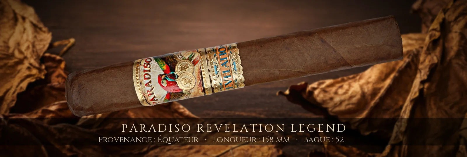 Paradiso Revelation Legend