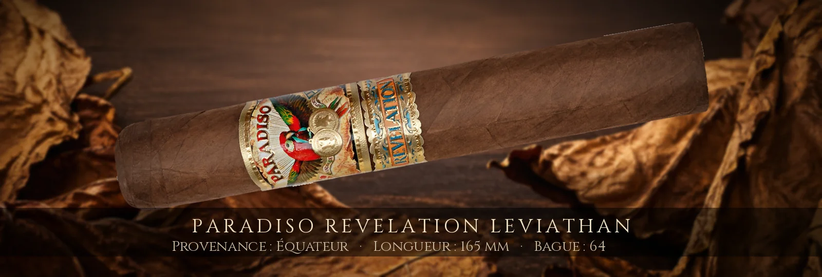 Paradiso Revelation Leviathan