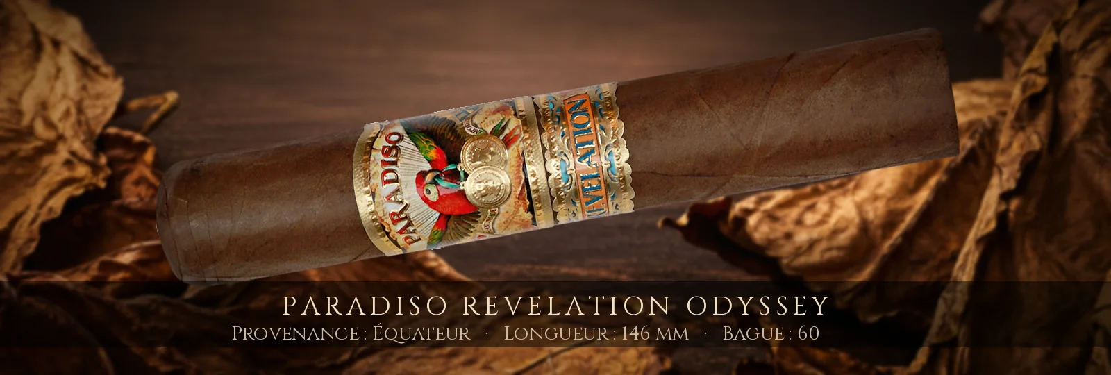 Paradiso Revelation Odyssey