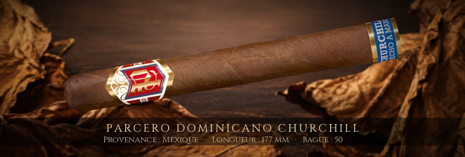 Parcero Dominicano Churchill — Parcero — Mexique