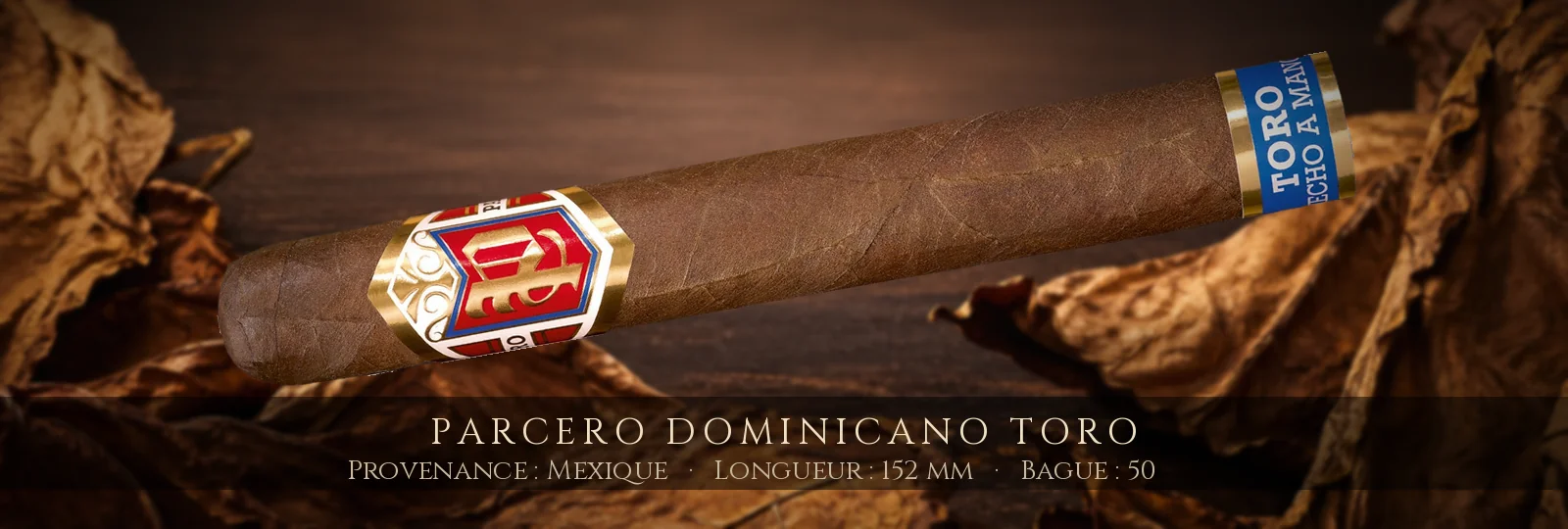 Parcero Dominicano Toro — Parcero — Mexique