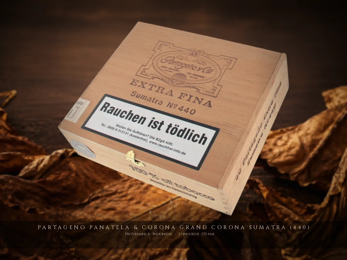 Partageno Panatela & Corona Grand Corona Sumatra (440) — Partageno — Indonésie