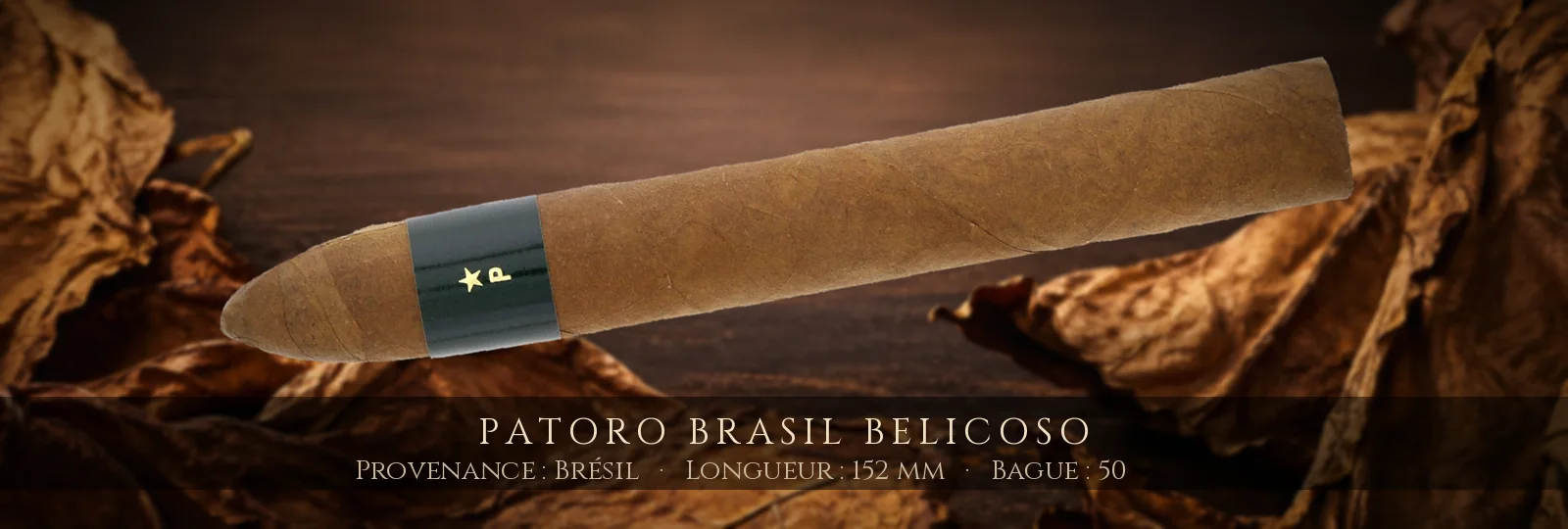Patoro Brasil Belicoso — Patoro — Brésil