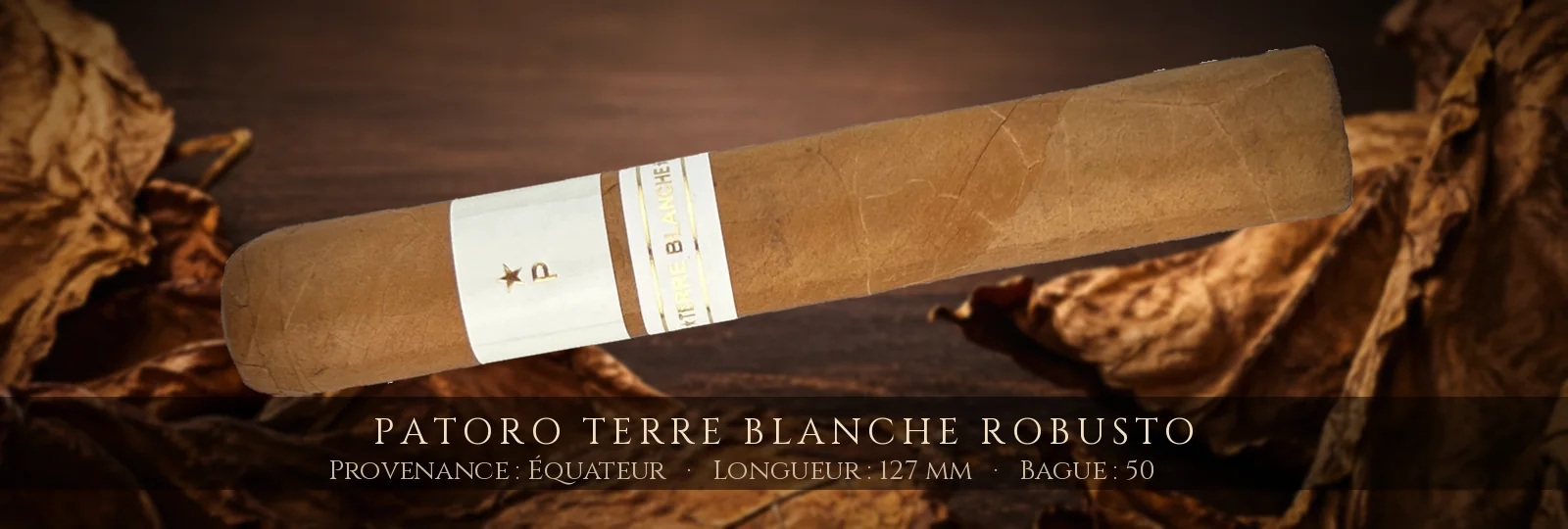 Patoro Terre Blanche Robusto — Patoro — Équateur