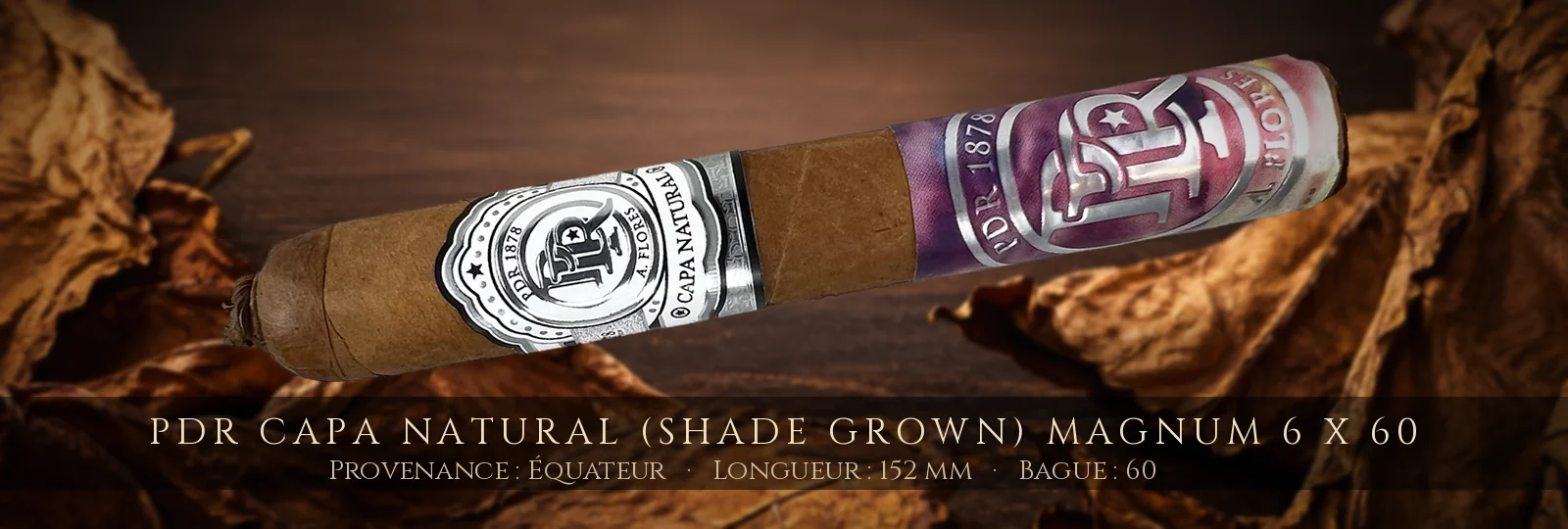 PDR Capa Natural (Shade Grown) Magnum 6 x 60 — PDR — Équateur