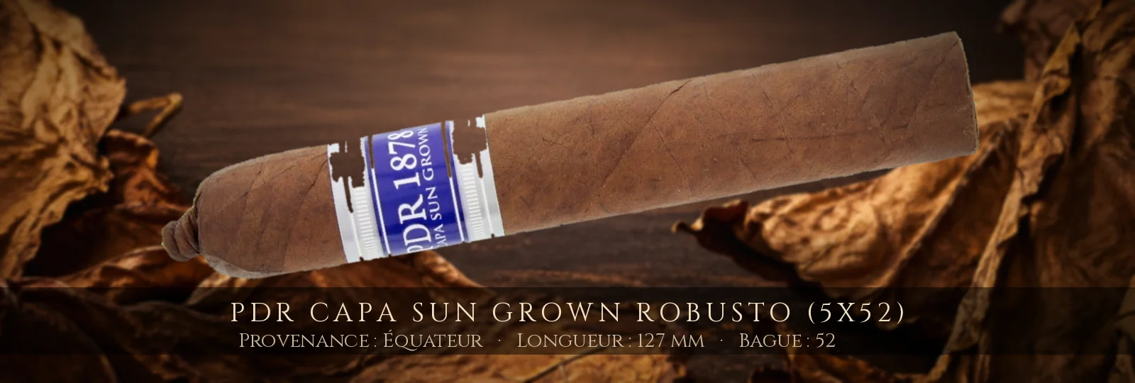 PDR Capa Sun Grown Robusto (5x52) — PDR — Équateur