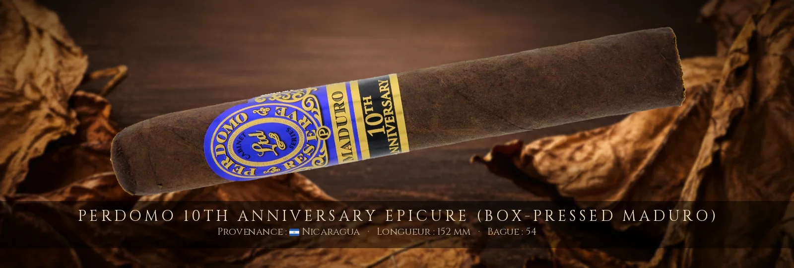 Perdomo 10th Anniversary Epicure (Box-Pressed Maduro) — Perdomo — Nicaragua