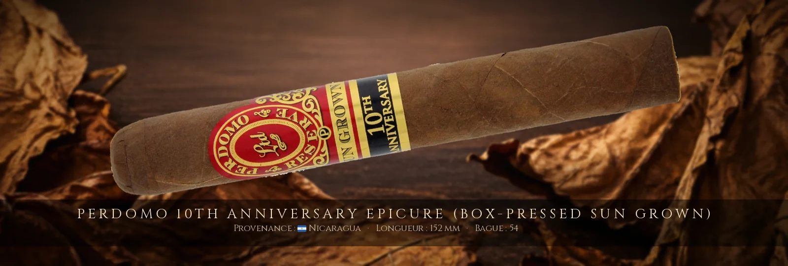 Perdomo 10th Anniversary Epicure (Box-Pressed Sun Grown) — Perdomo — Nicaragua