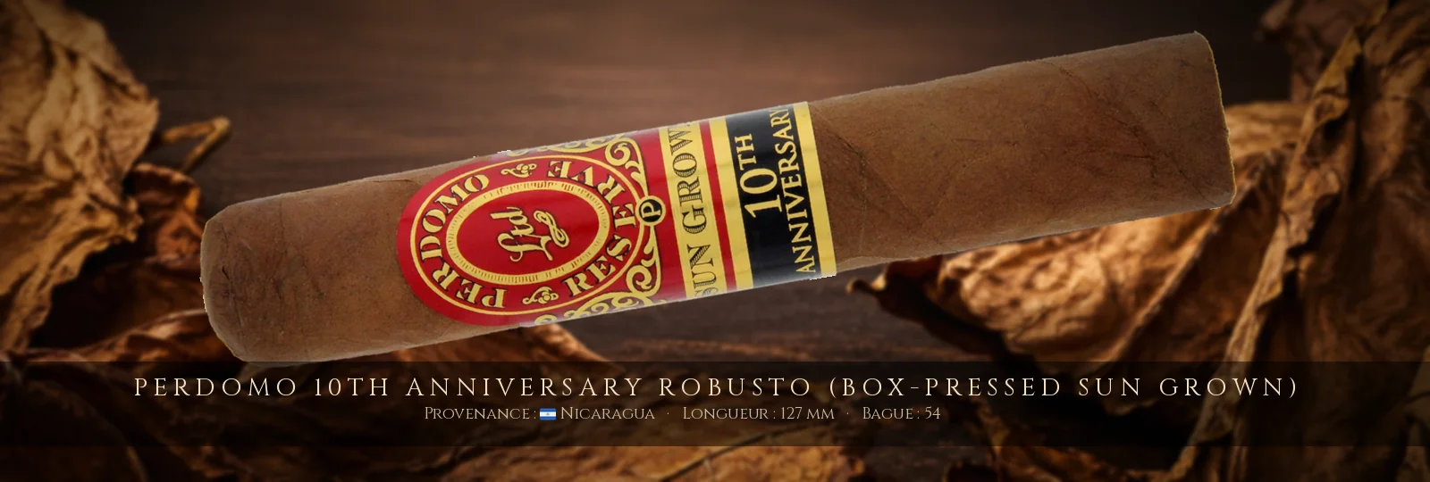 Perdomo 10th Anniversary Robusto (Box-Pressed Sun Grown) — Perdomo — Nicaragua
