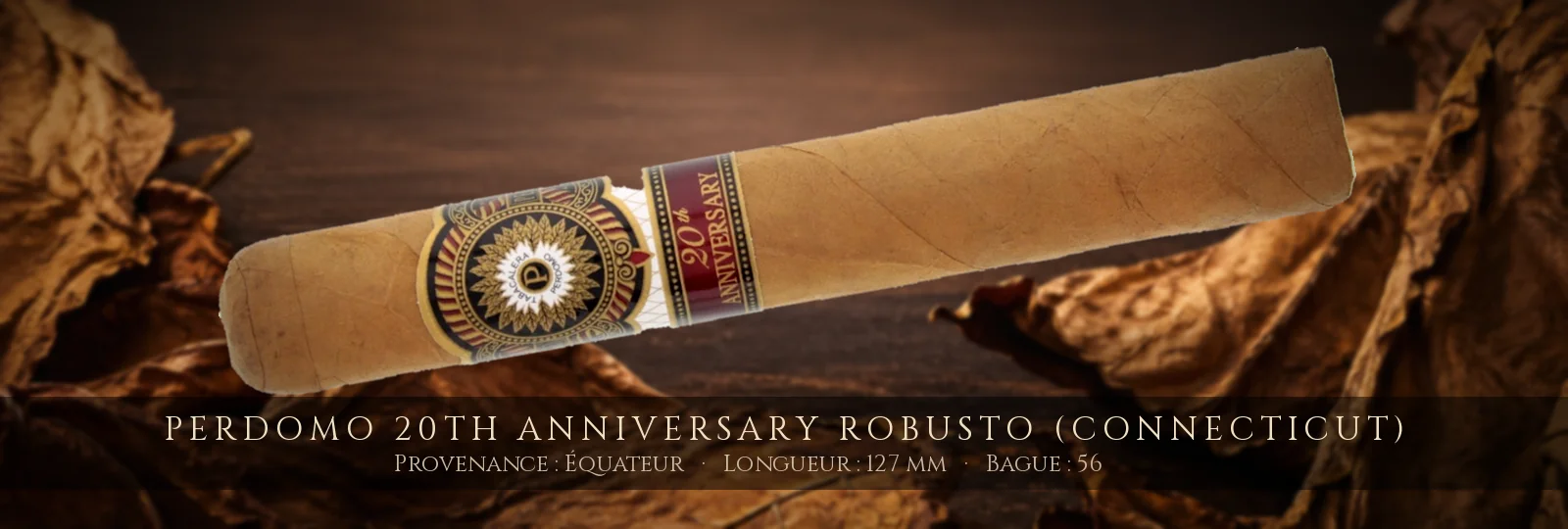 Perdomo 20th Anniversary Robusto (Connecticut) — Perdomo — Équateur