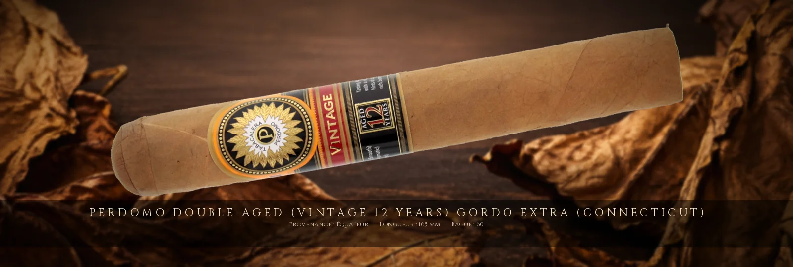Perdomo Double Aged (Vintage 12 Years) Gordo Extra (Connecticut) — Perdomo — Équateur