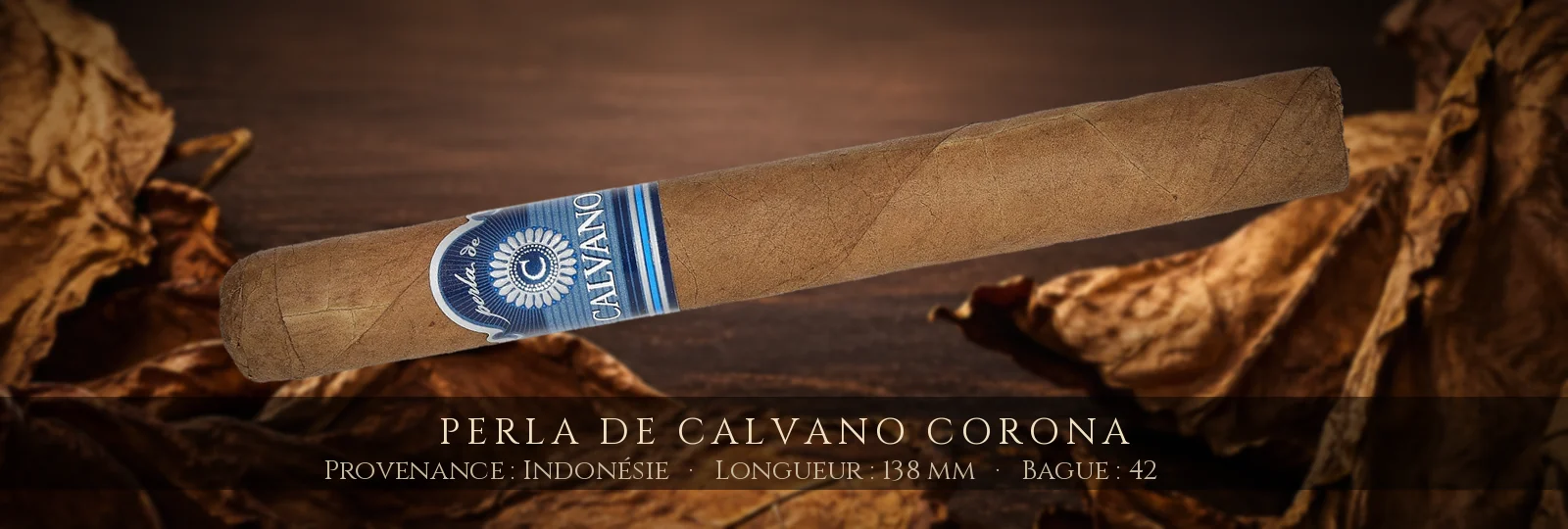 Perla de Calvano Corona — Perla de Calvano — Indonésie
