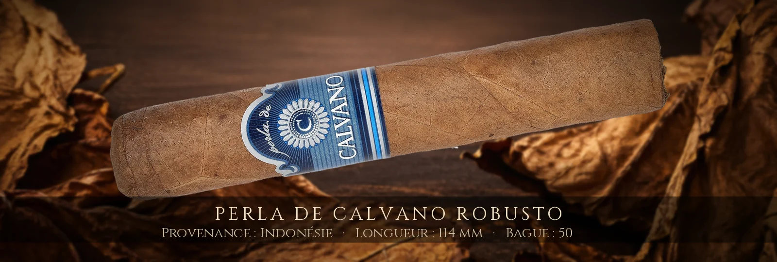 Perla de Calvano Robusto — Perla de Calvano — Indonésie