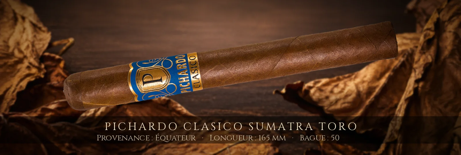 Pichardo Clasico Sumatra Toro