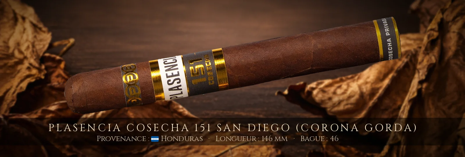 Plasencia Cosecha 151 San Diego (Corona Gorda)