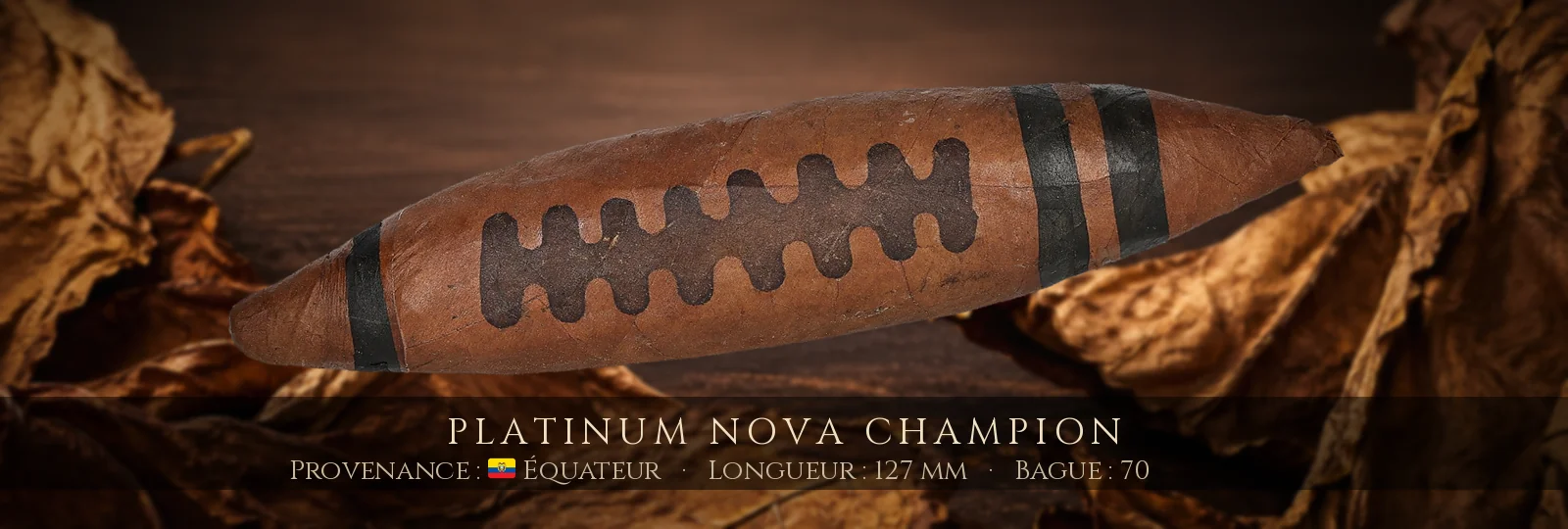 Platinum Nova Champion — Platinum Nova — Équateur